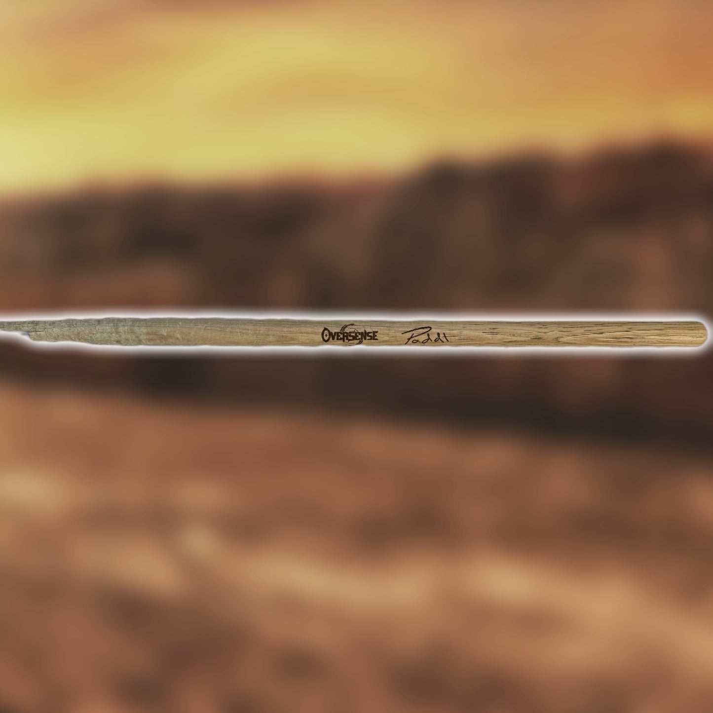 Drum stick (played + signed)