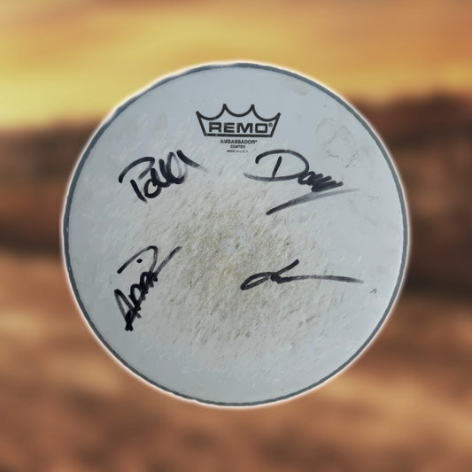 Drum head (played + signed)